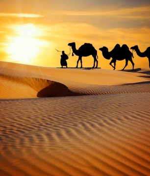 Home evening desert safari